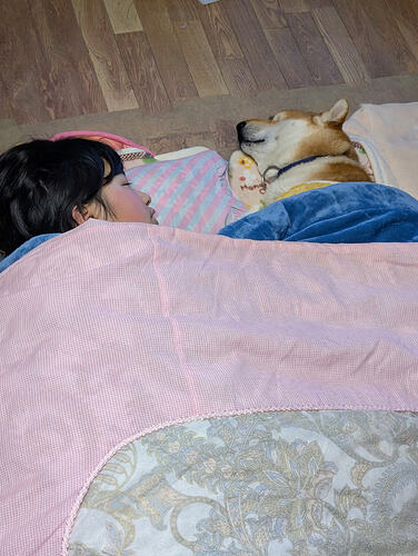 2026-02-27-05-48-49-892