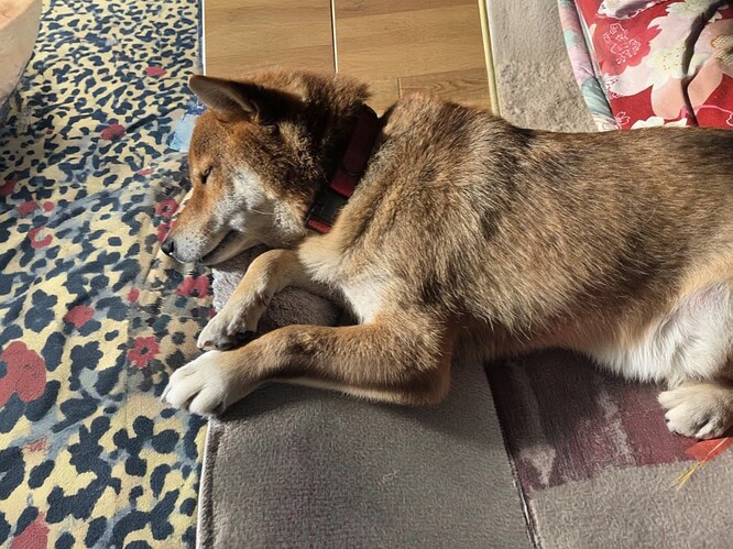 2025-11-30-13-09-50-572