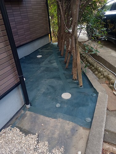 IMG_20251217_104924581