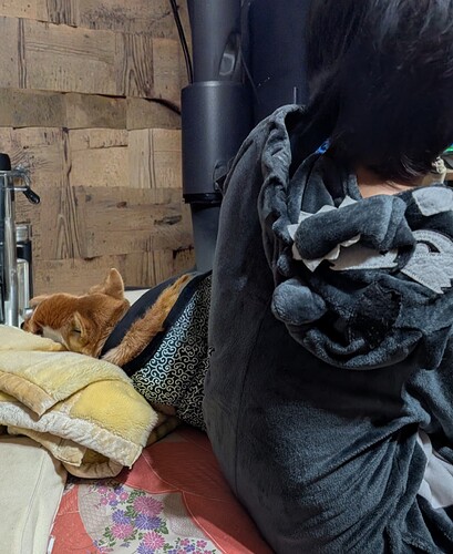 2025-11-01-19-41-15-685