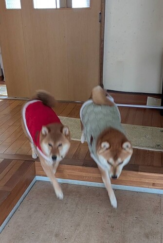 2026-02-09-09-50-18-925