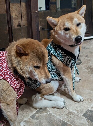 2025-10-31-13-37-46-134